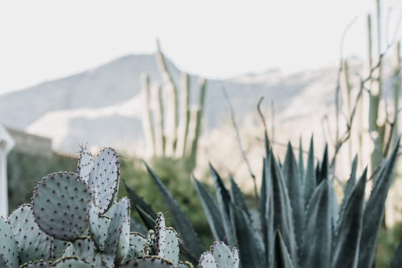 zelle-duda-DBUvQCYNJgk-unsplash3619.jpg 方案配图,色彩意境,白色,