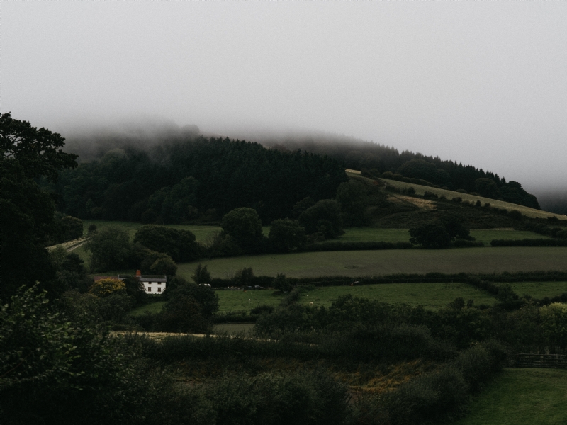 annie-spratt-t_05uHGJE_s-unsplash4539.jpg 方案配图,色彩意境,黑色,