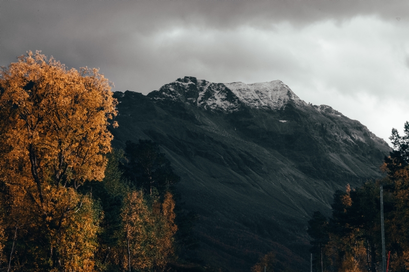 ansgar-scheffold-OWWh3a8MCGI-unsplashf86a.jpg 方案配图,色彩意境,黑色,