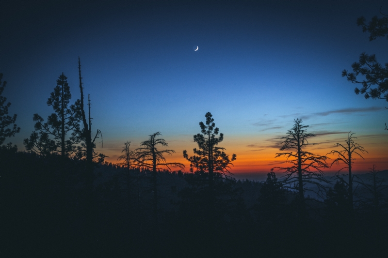 casey-horner-OVtUQk-1PjA-unsplashc9ad.jpg 方案配图,色彩意境,黑色,