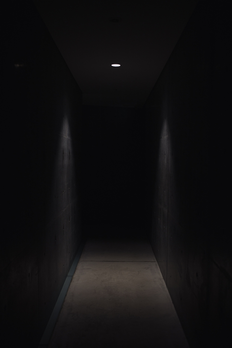 charles-pcZvxrAyYoQ-unsplash54da.jpg 方案配图,色彩意境,黑色,