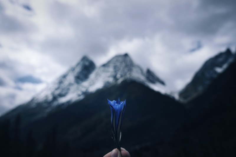 cheng-feng-DANxgk875X0-unsplash7043.jpg 方案配图,色彩意境,黑色,