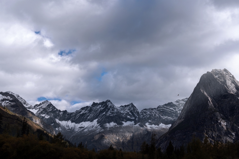 cheng-feng-Vc67ARus0-o-unsplash95ba.jpg 方案配图,色彩意境,黑色,