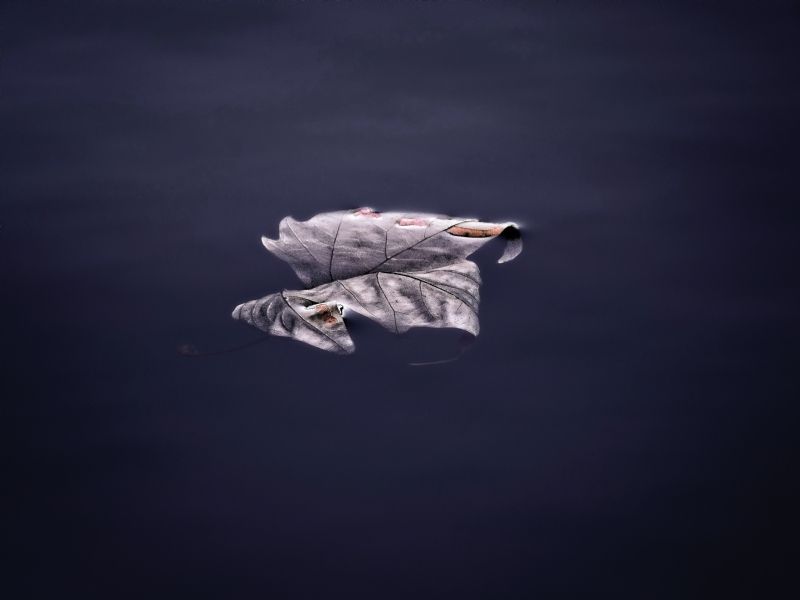 davidcohen-ewxTqdfrYOU-unsplashf1cd.jpg 方案配图,色彩意境,黑色,