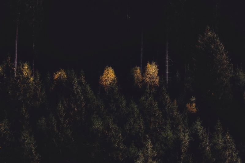 eberhard-grossgasteiger-QNBbeVGHyKI-unsplashbea5.jpg 方案配图,色彩意境,黑色,