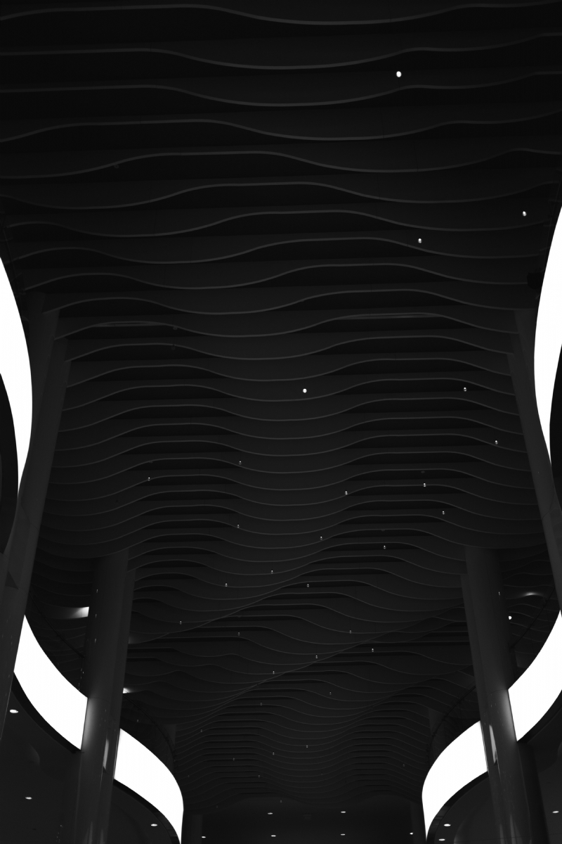 elena-saharova-hzNnJyC9FOA-unsplash12f4.jpg 方案配图,色彩意境,黑色,