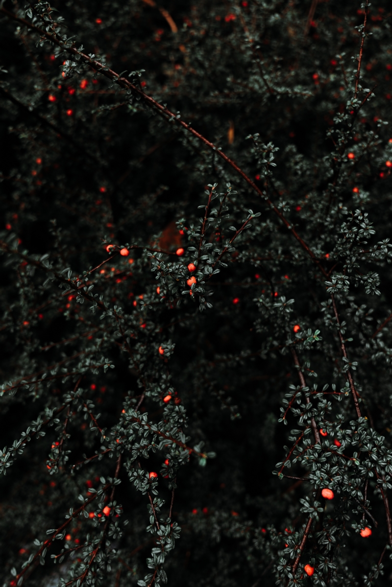 eriks-abzinovs-BcT1mRYKHs0-unsplash4479.jpg 方案配图,色彩意境,黑色,