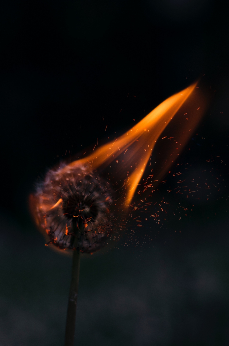 henry-be-6mwtDZUOFrw-unsplasha9fd.jpg 方案配图,色彩意境,黑色,