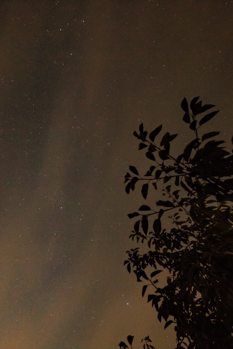 kai-dahms-gem3Y5hfWt0-unsplasha839.jpg 方案配图,色彩意境,黑色,