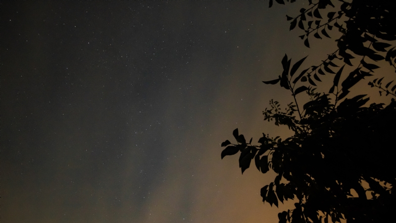 kai-dahms-PyrnNif72gs-unsplash8098.jpg 方案配图,色彩意境,黑色,