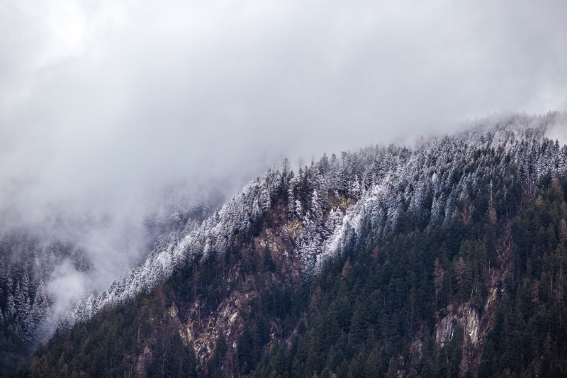 linas-bam-q1X6ADPZl4w-unsplashc7fb.jpg 方案配图,色彩意境,黑色,