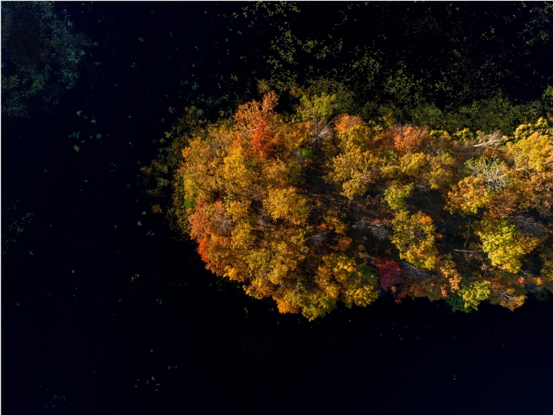 runde-imaging-fgdBnm0Ed1A-unsplash512b.jpg 方案配图,色彩意境,黑色,