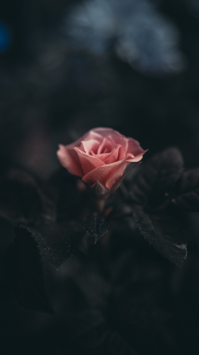 saffu-Vya8eGk5Y64-unsplash1ff9.jpg 方案配图,色彩意境,黑色,