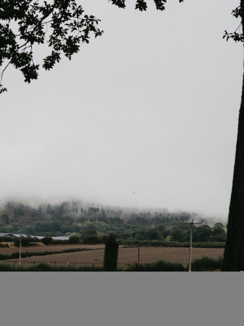 annie-spratt-8qF0HPS-i9I-unsplashb5f7.jpg 方案配图,色彩意境,灰色,