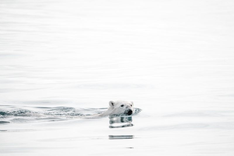 annie-spratt-F2M5Uynt62U-unsplash3c15.jpg 方案配图,色彩意境,灰色,