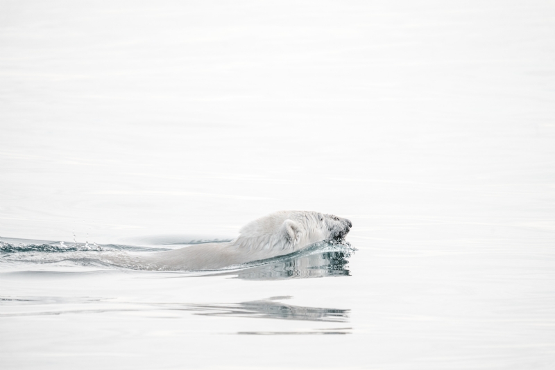 annie-spratt-TjctDY2wcGk-unsplash48a4.jpg 方案配图,色彩意境,灰色,