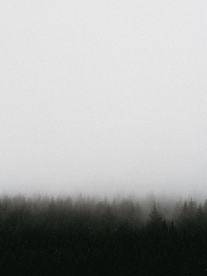 annie-spratt-ve446iBa4BM-unsplash03c6.jpg 方案配图,色彩意境,灰色,