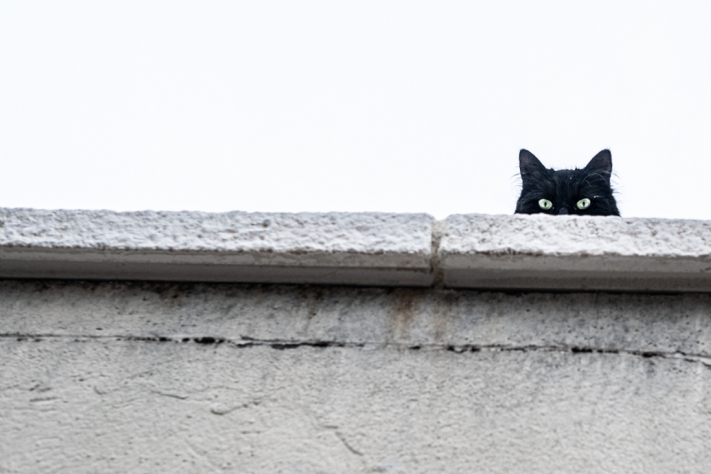 clement-falize-b9K_LTz079c-unsplash8c17.jpg 方案配图,色彩意境,灰色,