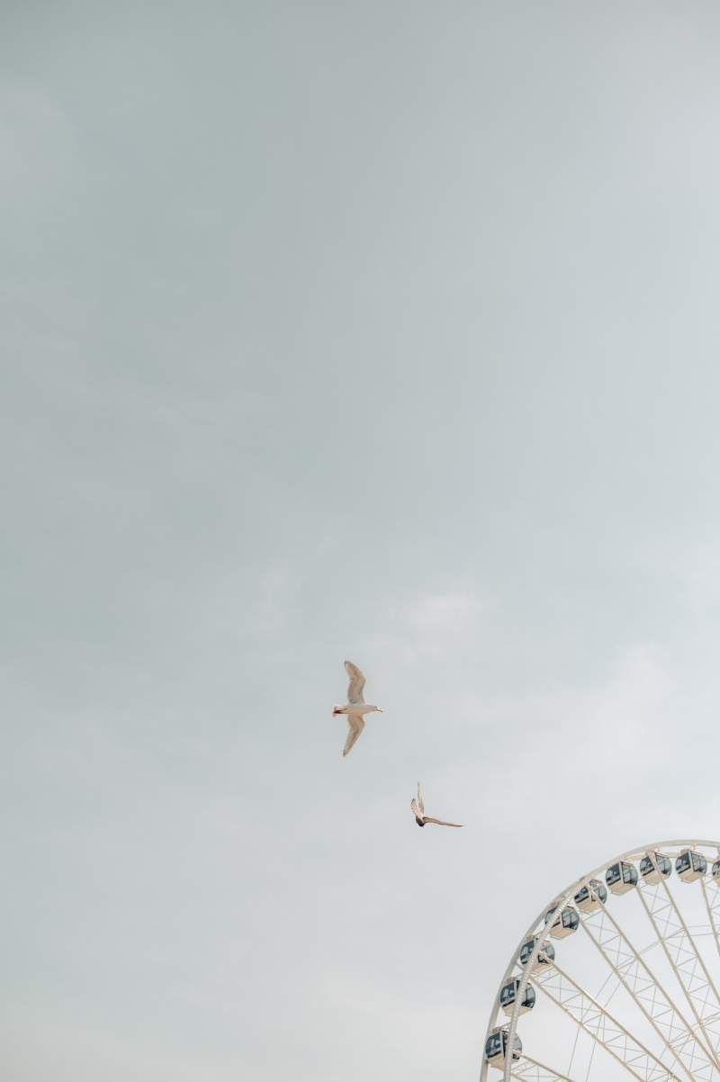 daniel-mingook-kim-17-VvD47uaM-unsplash0e65.jpg 方案配图,色彩意境,灰色,