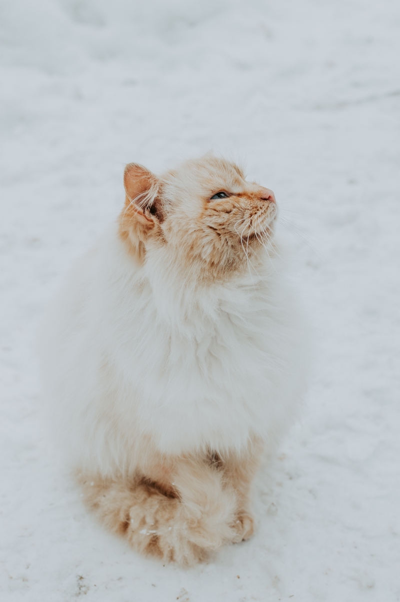 daniel-spase-vTkam84Z20c-unsplash8dcc.jpg 方案配图,色彩意境,灰色,