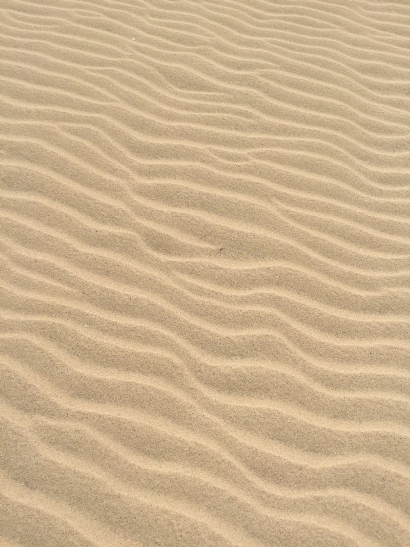 daniel-straub-n5HOJGtYt4Q-unsplash5035.jpg 方案配图,色彩意境,灰色,