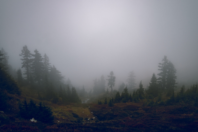 devin-h-vAmR4ta76ao-unsplash1320.jpg 方案配图,色彩意境,灰色,
