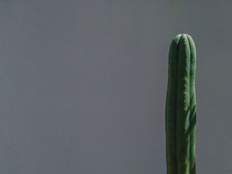 diego-gonzalez-s21hHLiHP-U-unsplash95aa.jpg 方案配图,色彩意境,灰色,