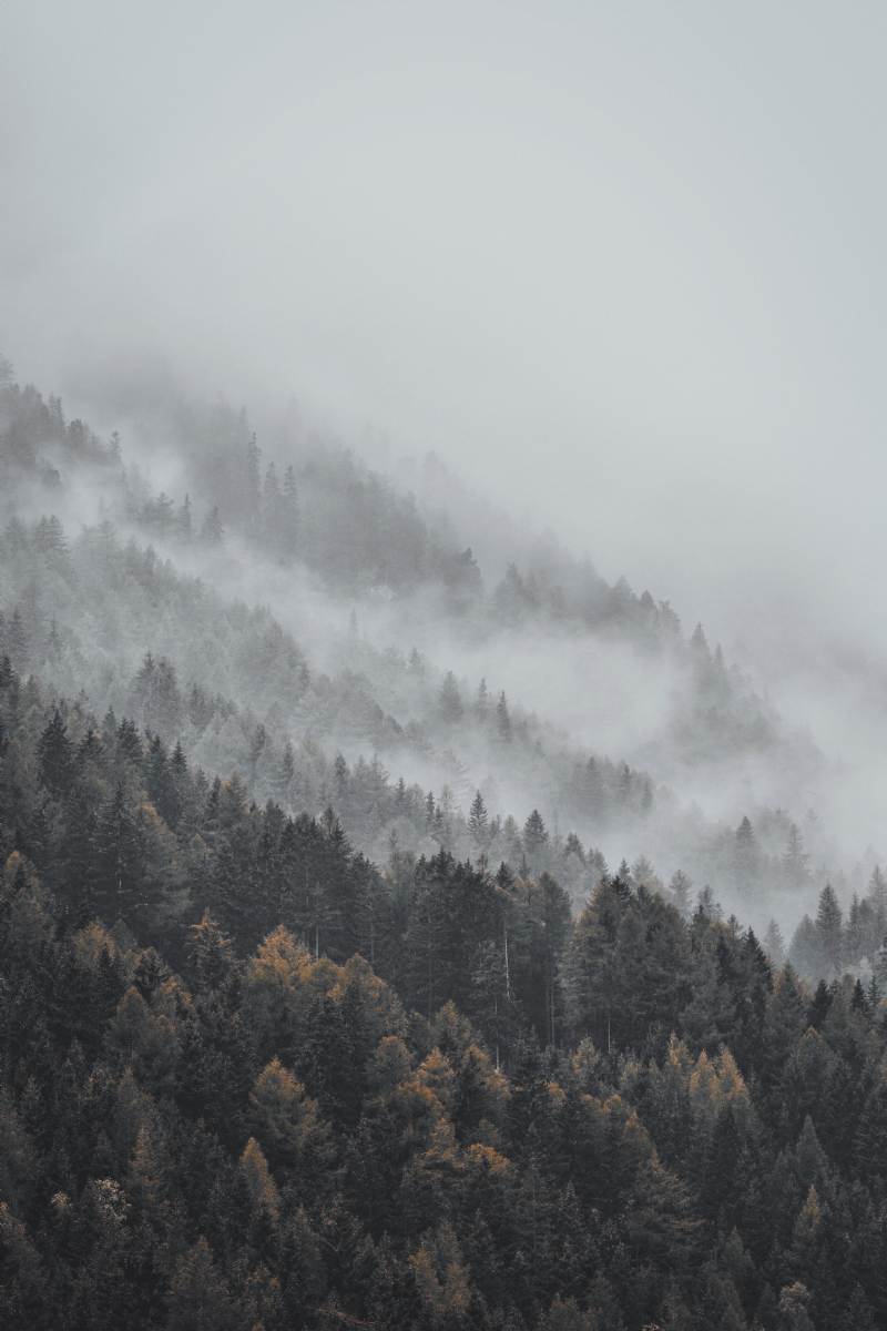 eberhard-grossgasteiger-gtAeuz0y3ZU-unsplash7bbd.jpg 方案配图,色彩意境,灰色,