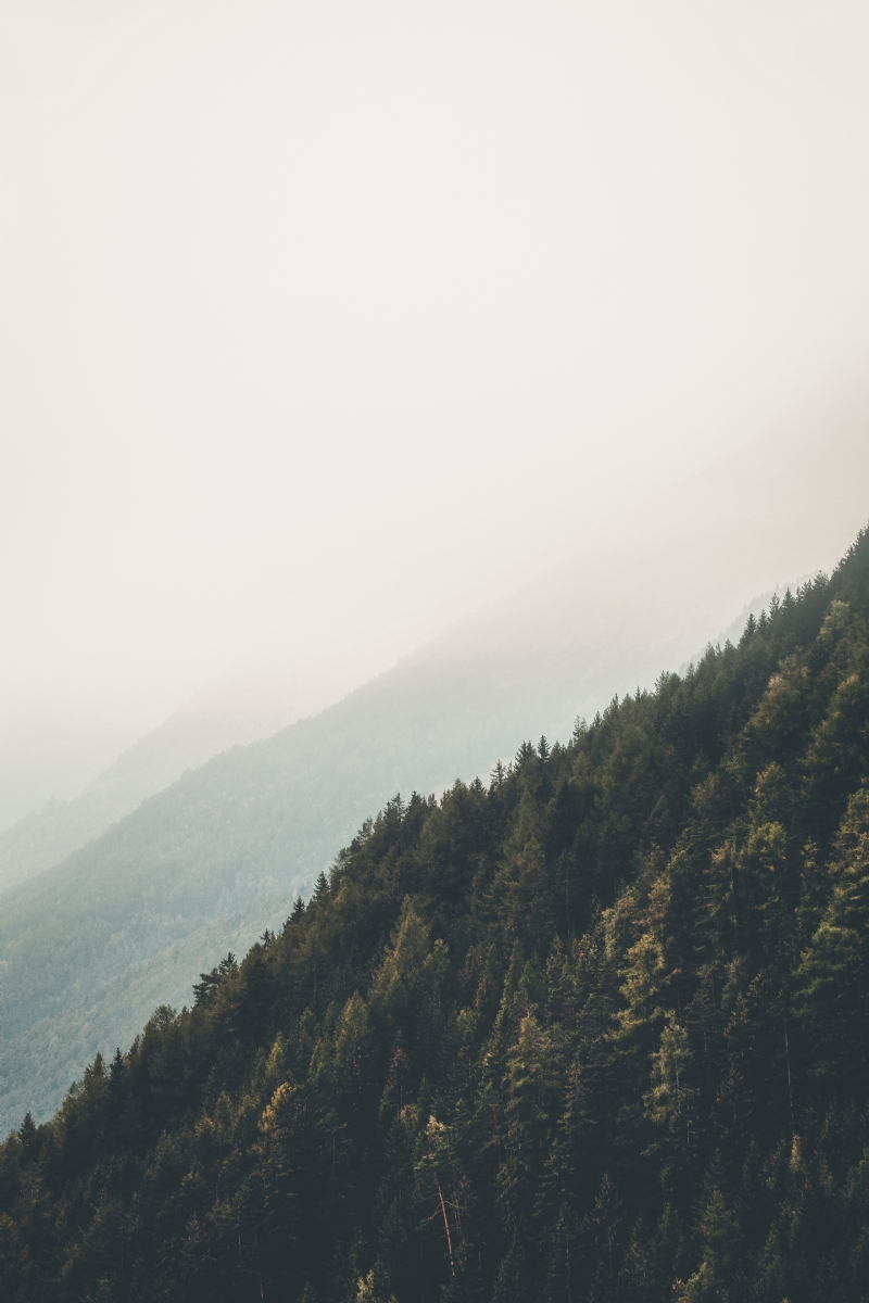 eberhard-grossgasteiger-Trb_7UoNyhw-unsplash0646.jpg 方案配图,色彩意境,灰色,