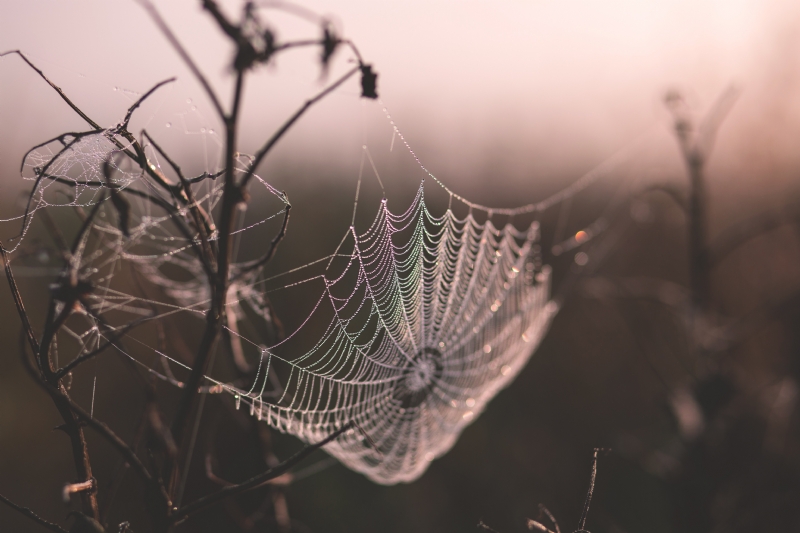 freestocks-org-ZArDeAtxj0Q-unsplash6ce4.jpg 方案配图,色彩意境,灰色,