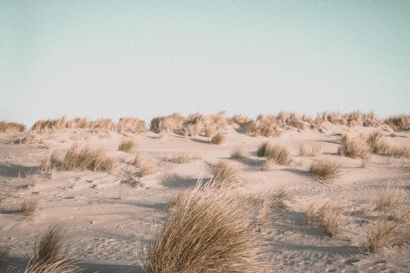 herprettybravesoul-nZiKLMN09H8-unsplash378e.jpg 方案配图,色彩意境,灰色,