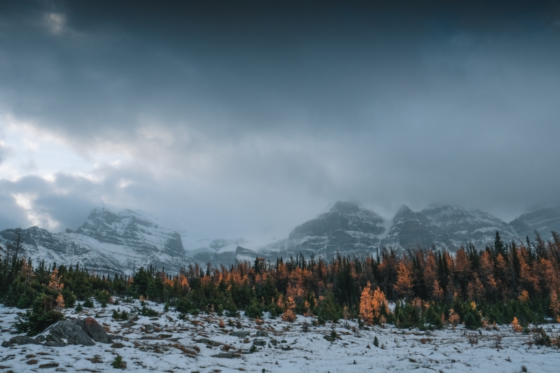 kevin-mueller-59HvwdKmJ5g-unsplash4baa.jpg 方案配图,色彩意境,灰色,