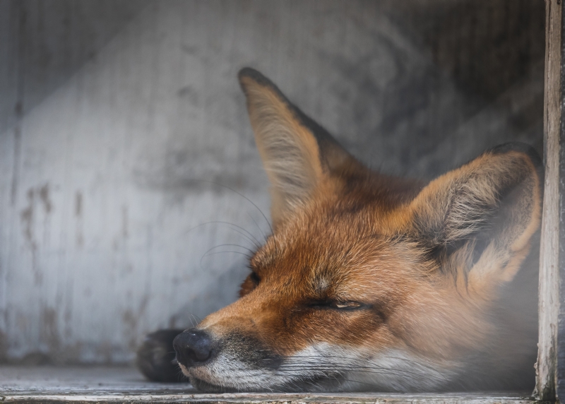 peter-lloyd-H6U_0nC-Sbk-unsplash11f2.jpg 方案配图,色彩意境,灰色,