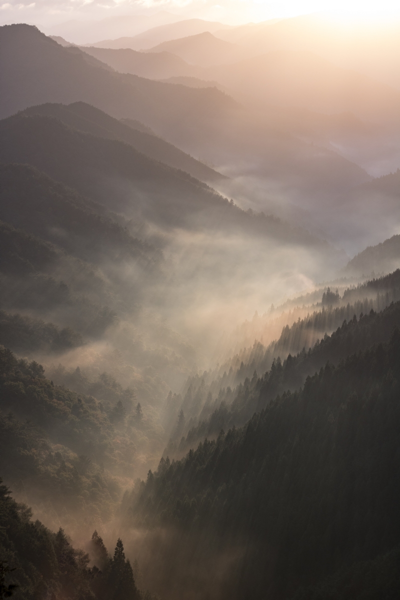 toan-phan-asr62h5w66w-unsplash344b.jpg 方案配图,色彩意境,灰色,