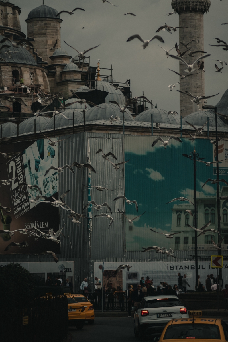 tolga-ahmetler-0zpqnzaJcj8-unsplash9842.jpg 方案配图,色彩意境,灰色,