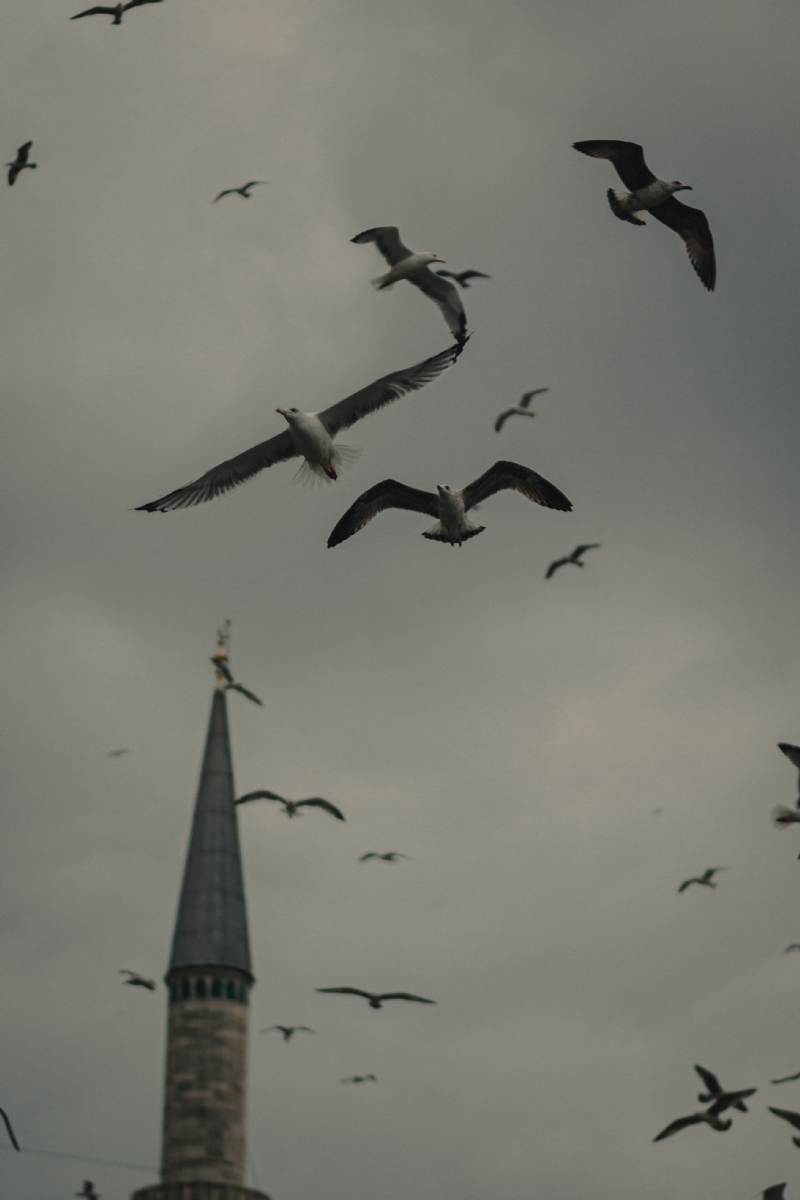 tolga-ahmetler-u8wQytG6Tg0-unsplash0365.jpg 方案配图,色彩意境,灰色,