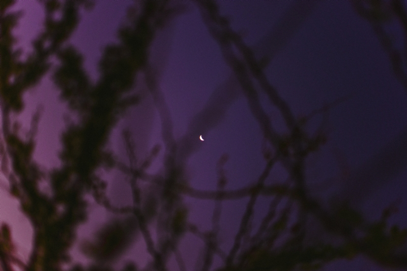 abyan-athif-IV_TVdpswJ8-unsplashb4cb.jpg 方案配图,格调渲染,唯美梦幻,