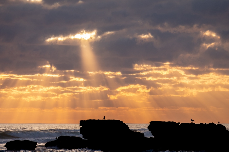 alex-green-nOIS4-YPy54-unsplashb621.jpg 方案配图,格调渲染,唯美梦幻,