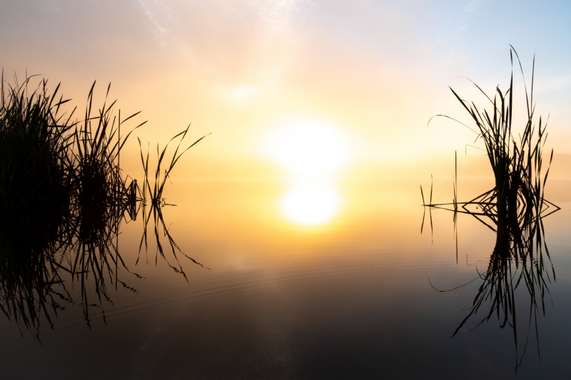 alex-green-ZFnxefkfSVM-unsplash8fdc.jpg 方案配图,格调渲染,唯美梦幻,