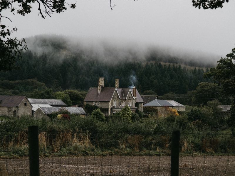 annie-spratt-gb1NcD1L5mc-unsplash967a.jpg 方案配图,格调渲染,唯美梦幻,