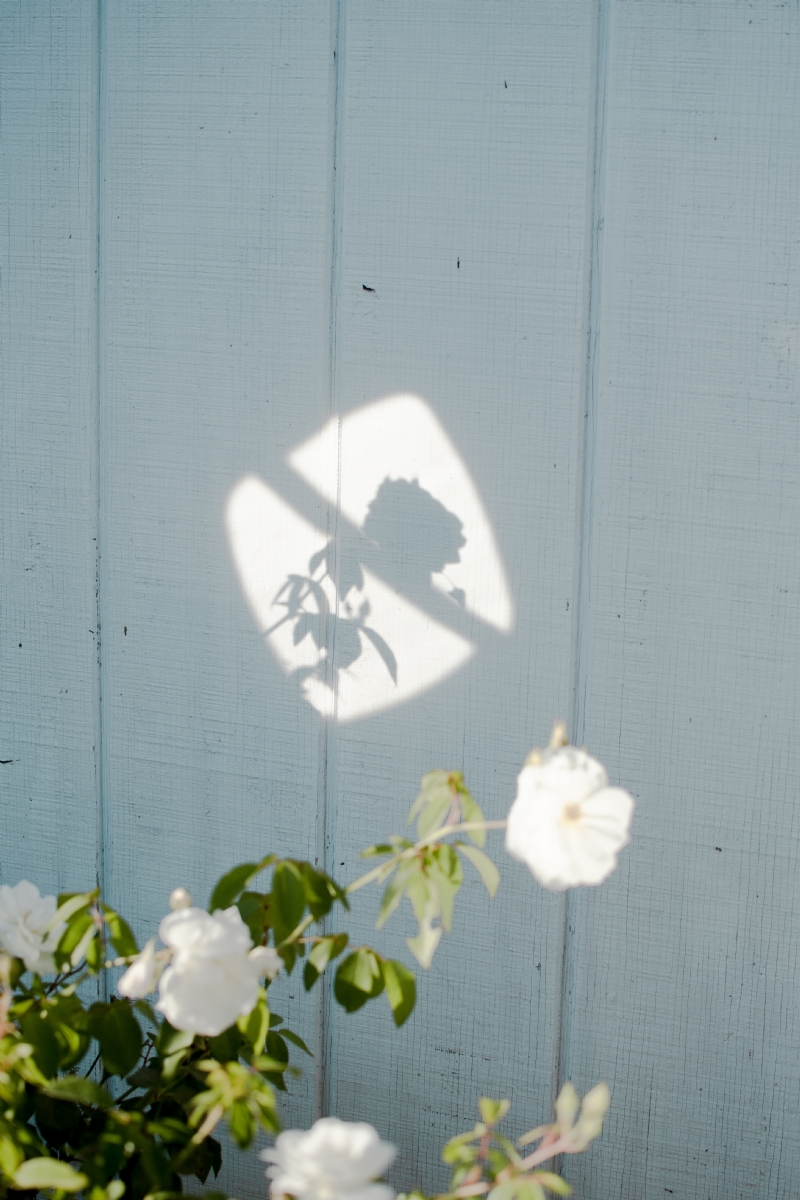 chandra-oh-GPcpLRpGqas-unsplash6331.jpg 方案配图,格调渲染,唯美梦幻,