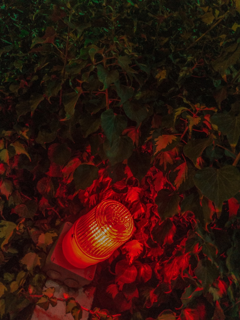 diego-gonzalez-7yQAYRlZj50-unsplash426f.jpg 方案配图,格调渲染,唯美梦幻,