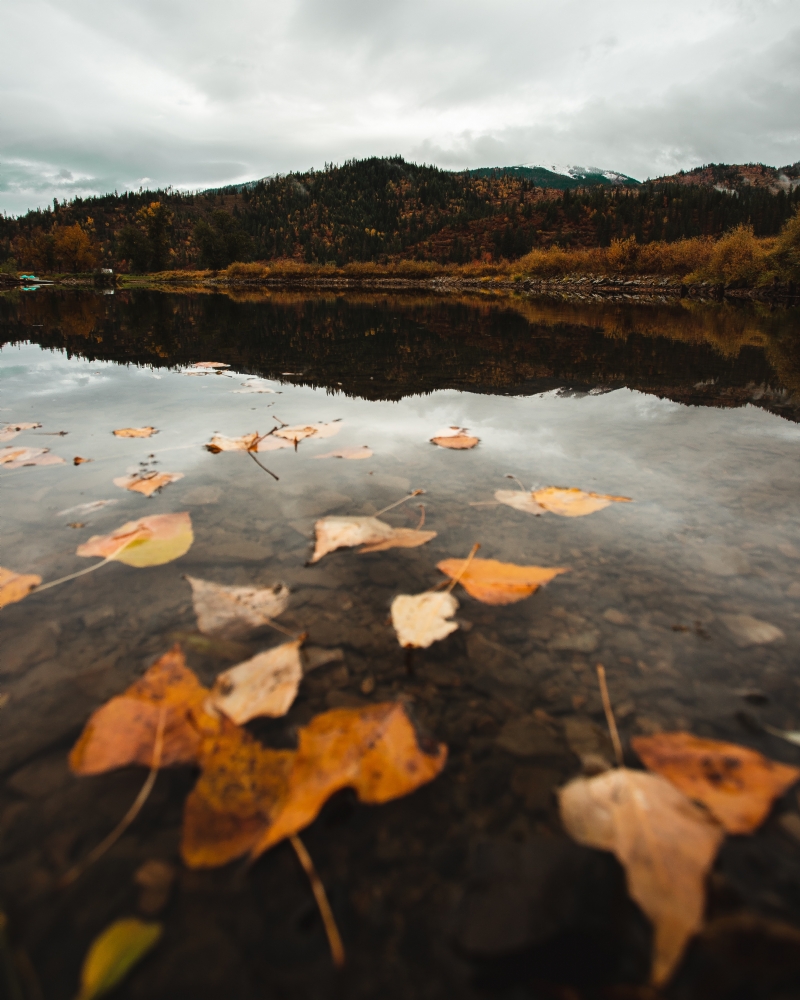 hanan-Tao_SFsS10g-unsplash8a38.jpg 方案配图,格调渲染,唯美梦幻,