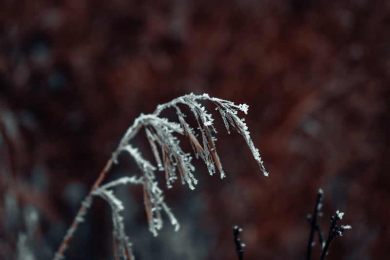josh-alex-vE9xu-kGlT4-unsplash3ce1.jpg 方案配图,格调渲染,唯美梦幻,