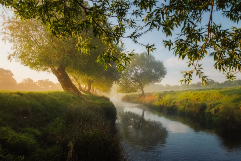 simon-wilkes-jlVEj8IDPQc-unsplash4f6d.jpg 方案配图,格调渲染,唯美梦幻,