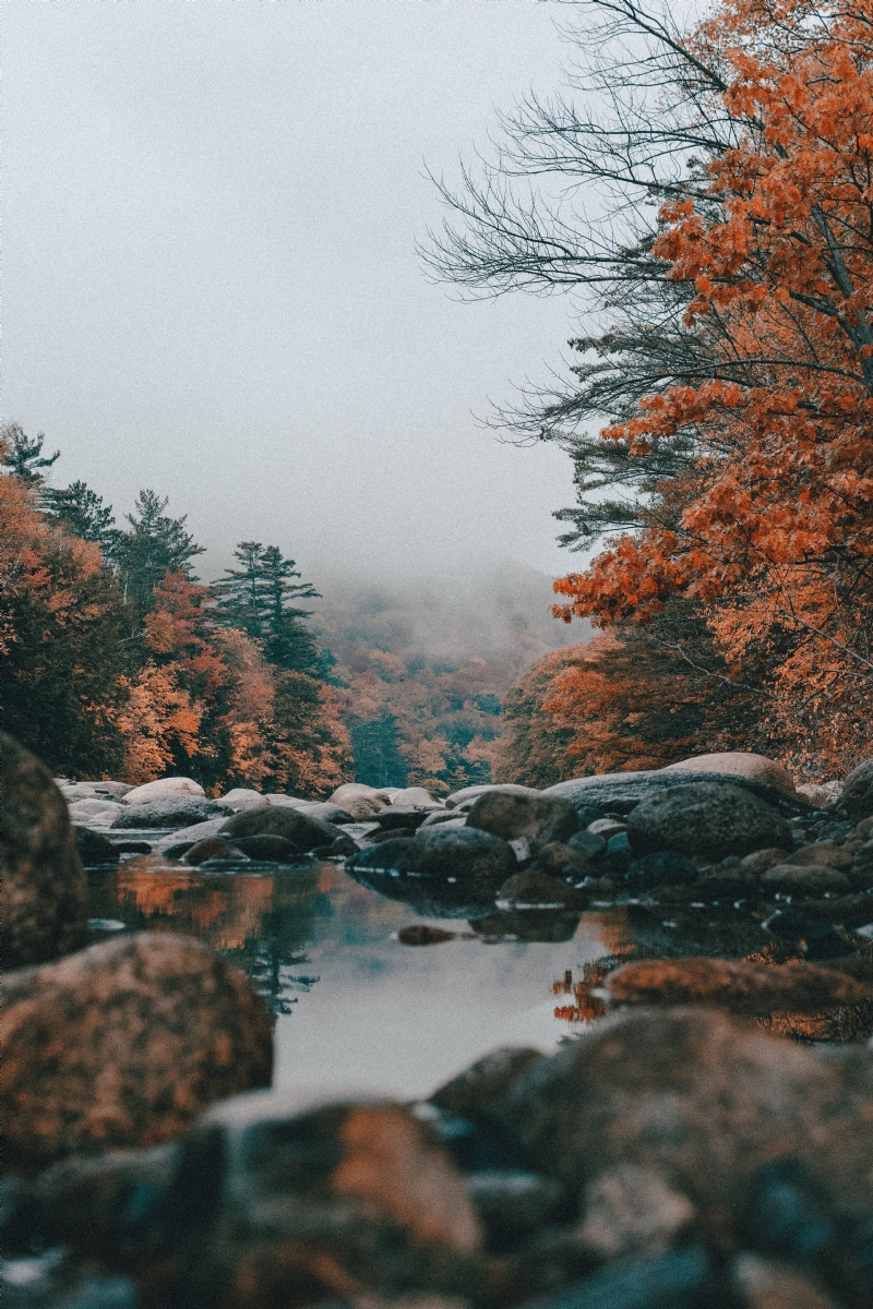 aaron-mello-PSzSavEmhPo-unsplash7cd7.jpg 参考素材,灵感来源,色彩搭配,
