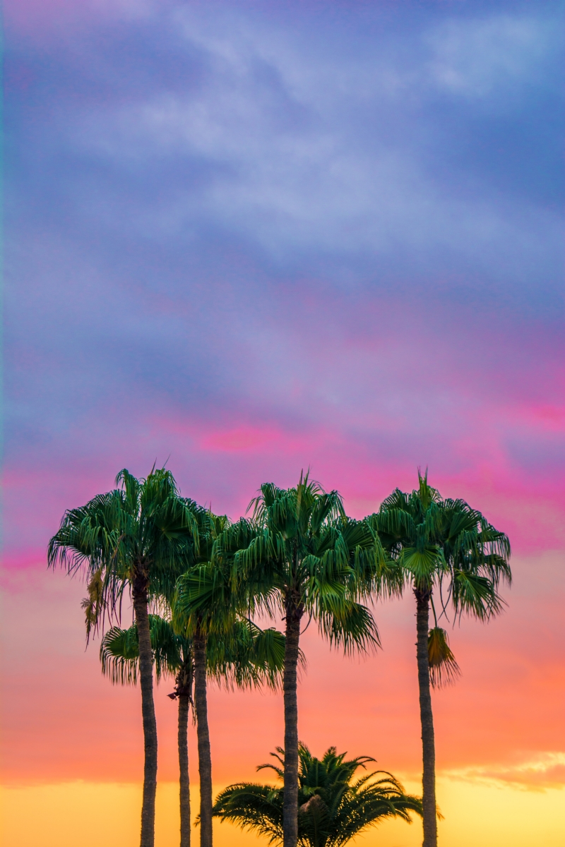 adam-birkett-75EFpyXu3Wg-unsplash7e85.jpg 参考素材,灵感来源,色彩搭配,
