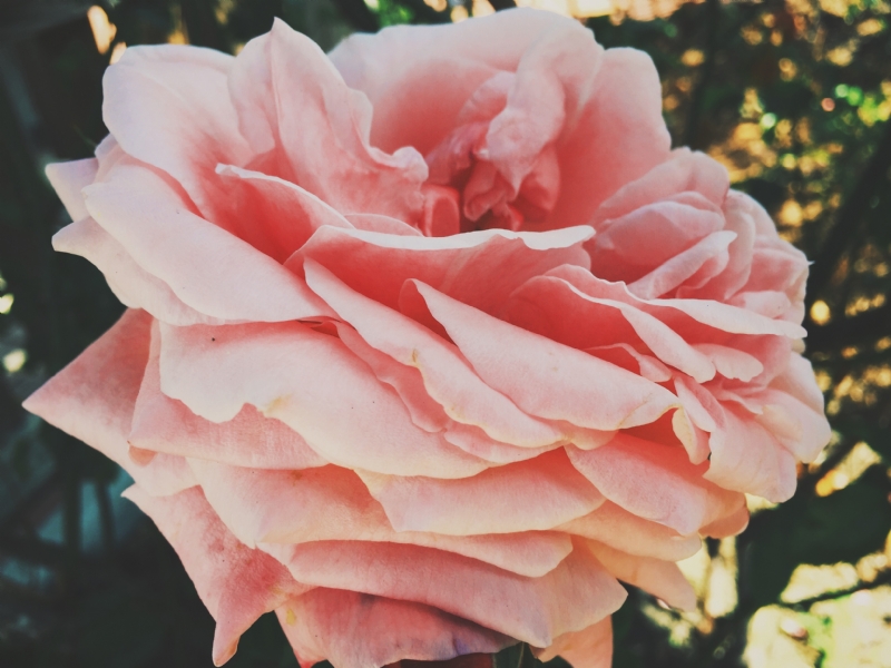 alex-harvey-RNyAsXmoEsk-unsplash3003.jpg 参考素材,灵感来源,色彩搭配,