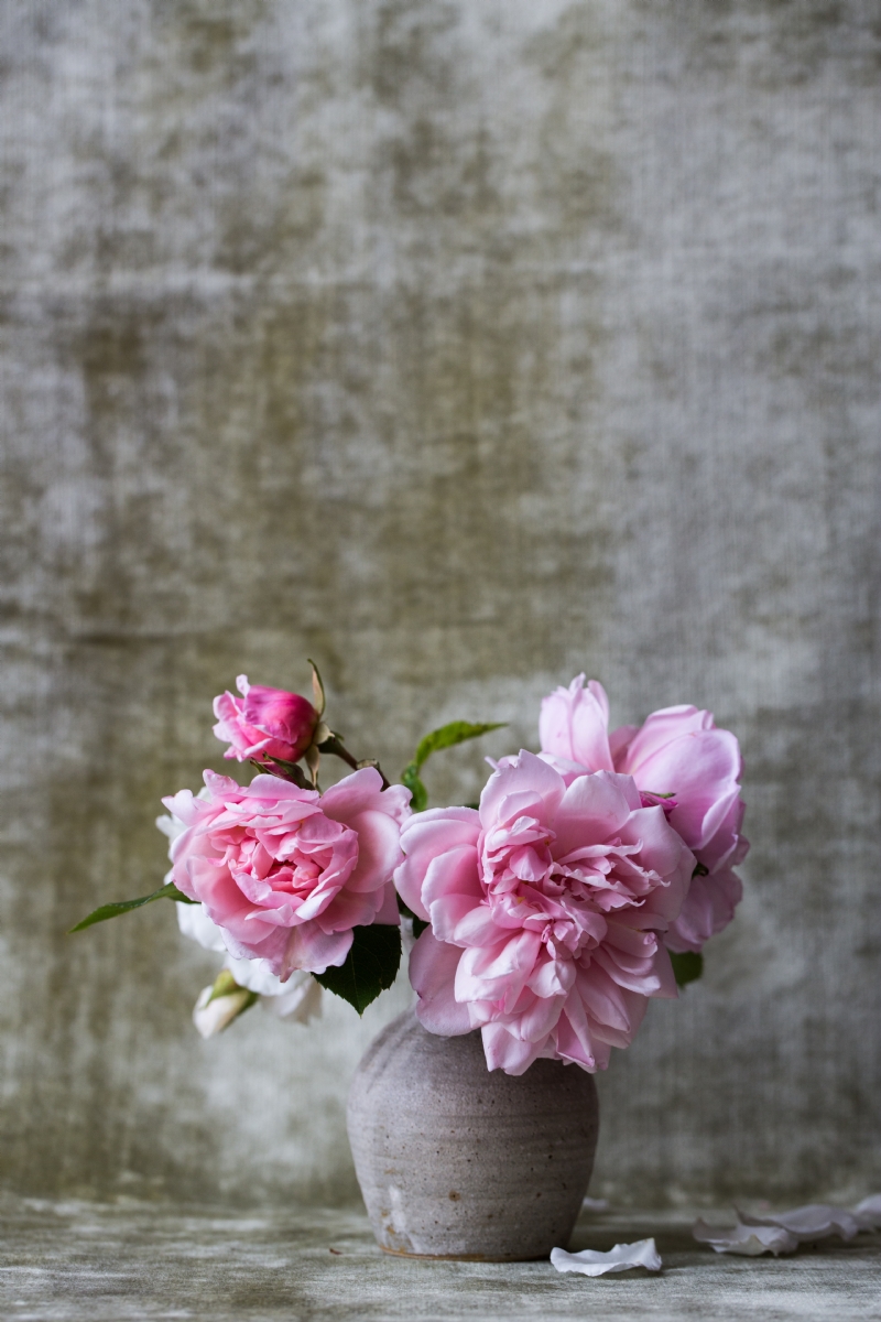alex-seinet-8dmtbpJJJ7k-unsplash3a76.jpg 参考素材,灵感来源,色彩搭配,