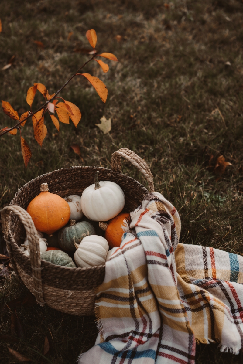 anita-austvika-KAkljqqXdKs-unsplash911f.jpg 参考素材,灵感来源,色彩搭配,